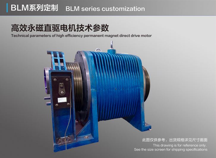 BLM Customization Permanent Magnet Direct Drive Motor
