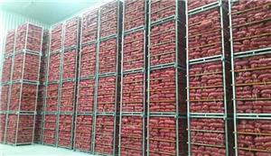 Onion Cold Storage ในฟิลิปปินส์