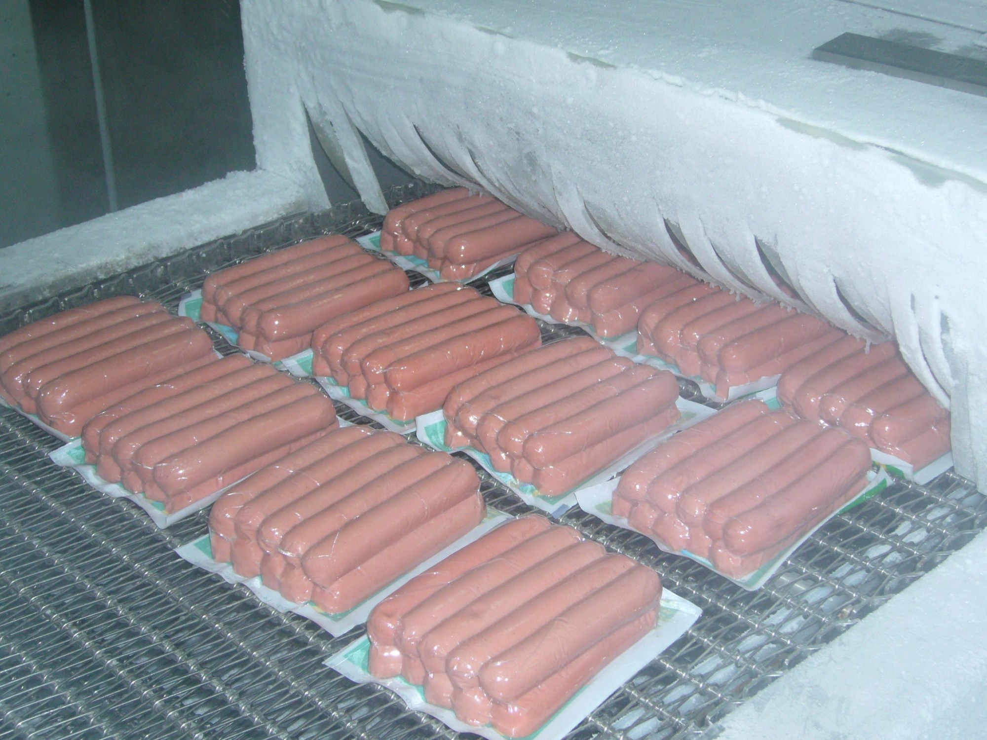 Productivitate ridicată 2000 kg/h Congelator spiralat IQF