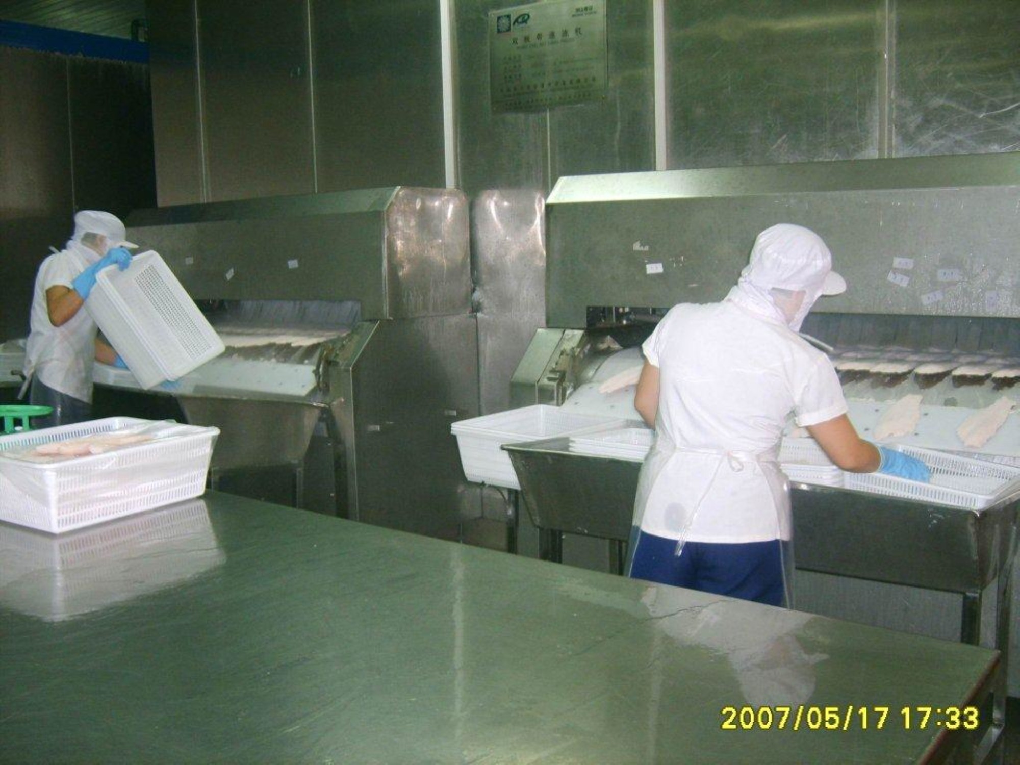 Good Price Mesh Belt Tunnel Freezer For Fish Fillet
