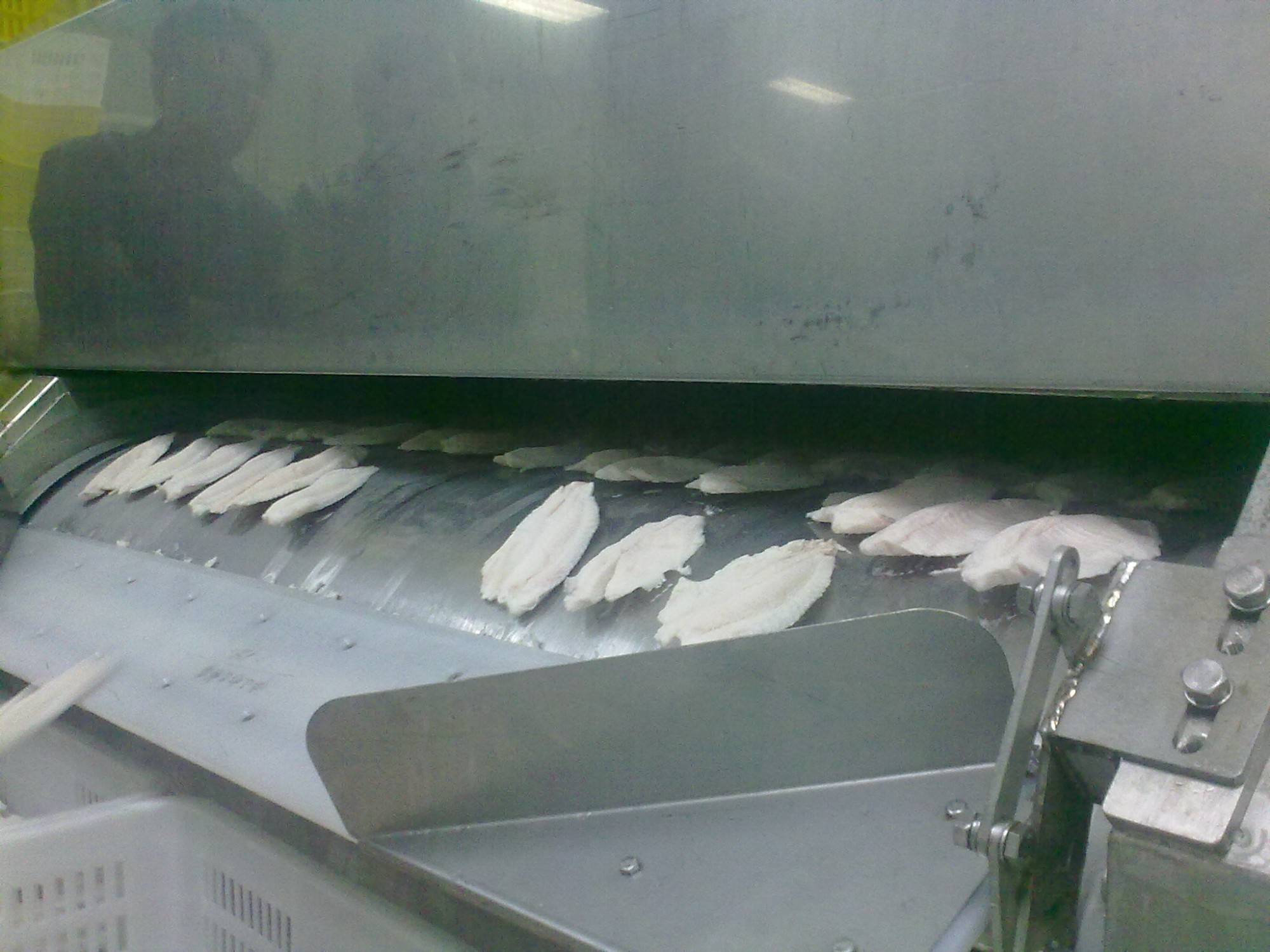 Good Price Mesh Belt Tunnel Freezer For Fish Fillet