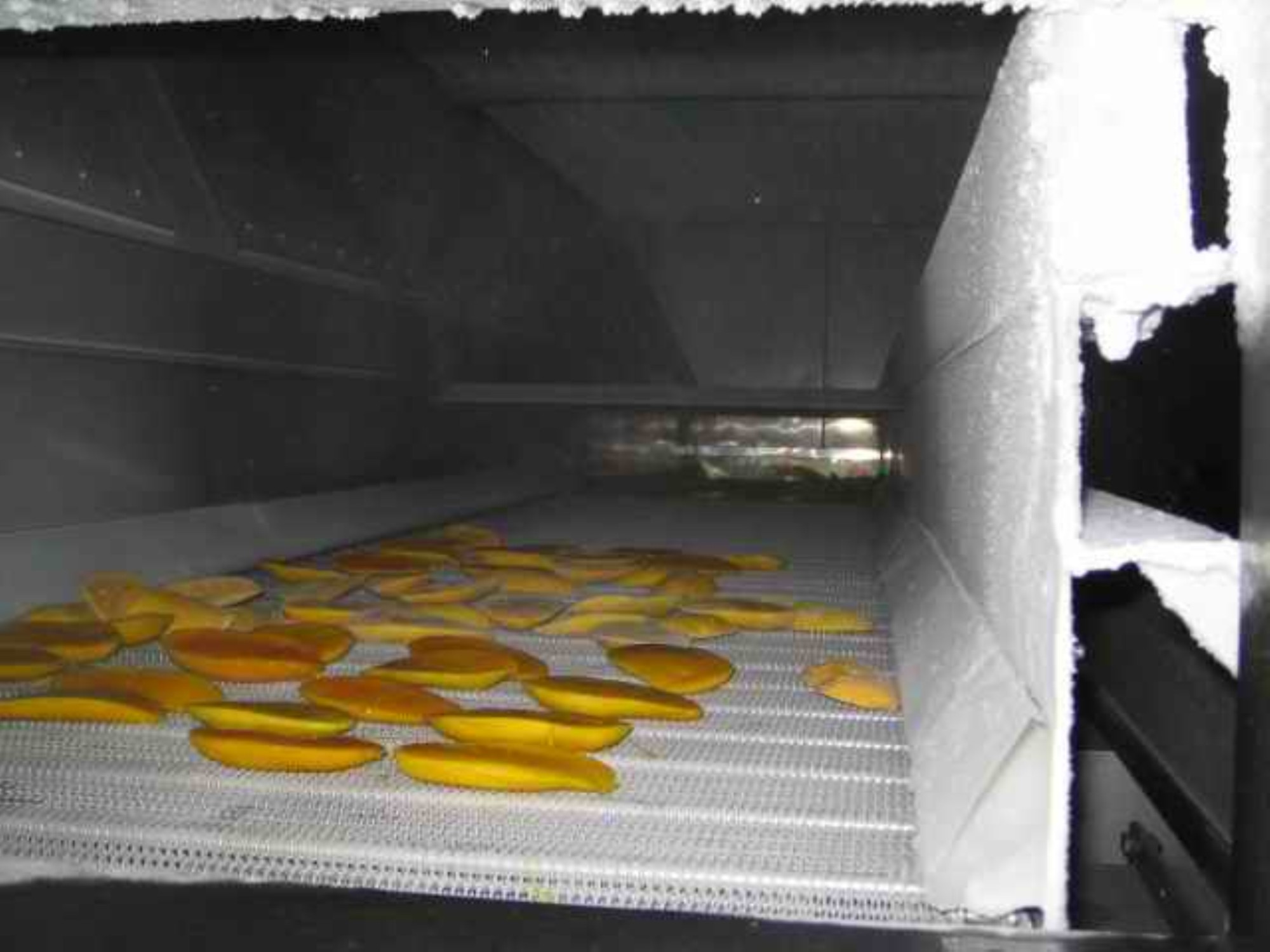 ​Bingshan High efficiency IQF in china fruit Tunnel Freezer/quick machine freezer