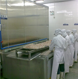 Bingshan High Efficiency IQF en China Fruit Tunnel Freezer / Quick Machine Freezer