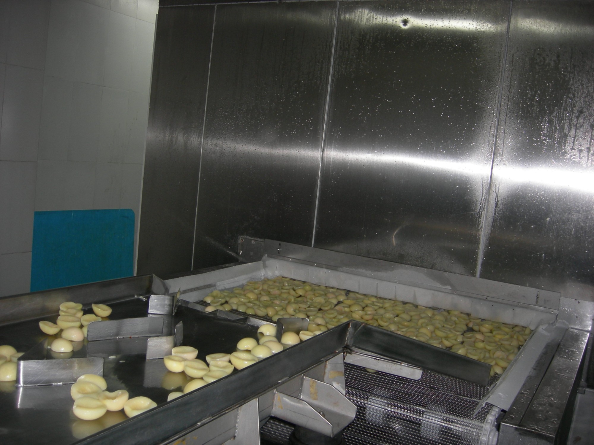 Mesh Belt Tunnel Freezer For Mango Slices Manufacturers, Mesh Belt Tunnel Freezer For Mango Slices Factory, Supply Mesh Belt Tunnel Freezer For Mango Slices