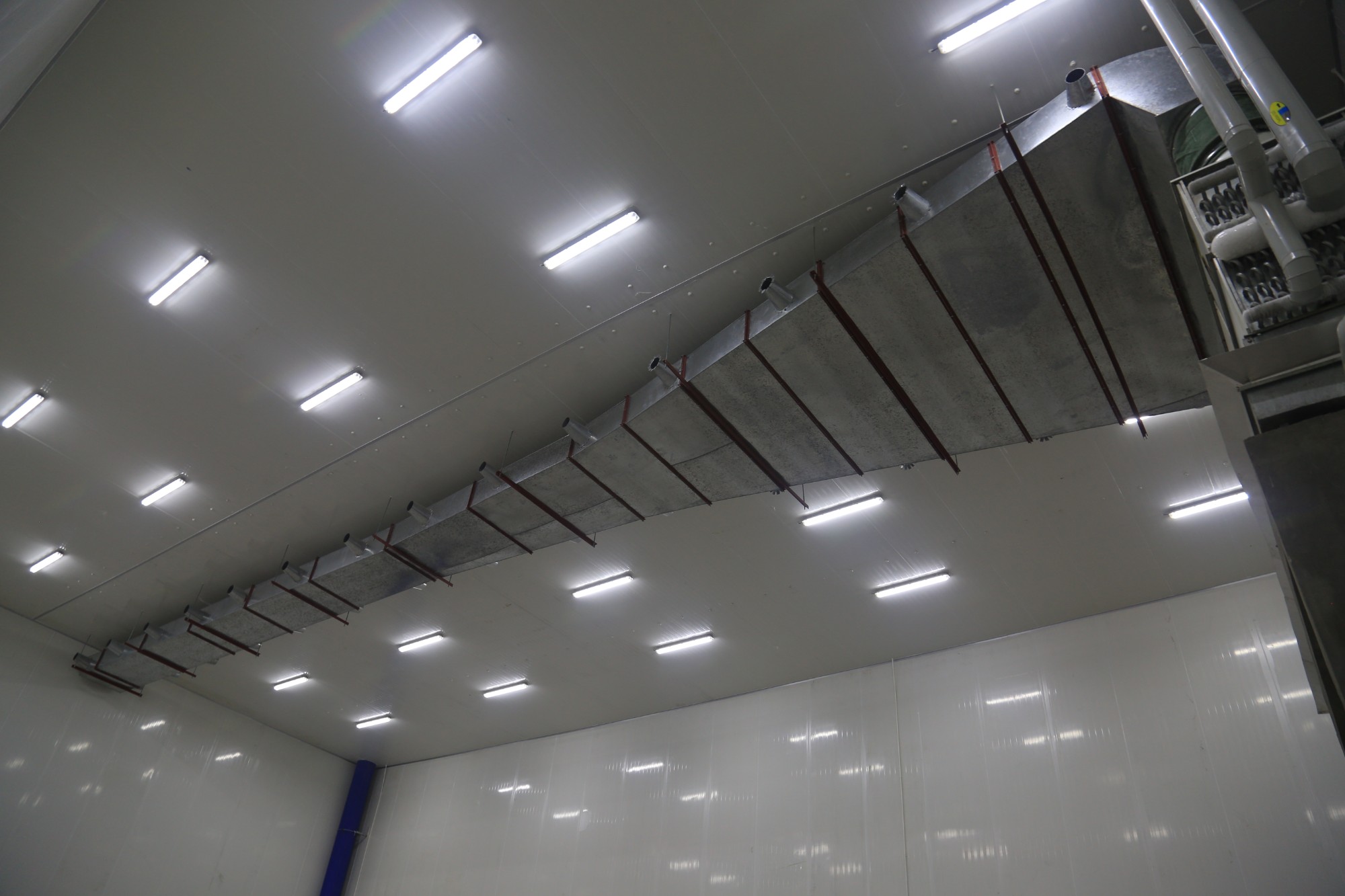 Ultra-Low Refrigeration Processing Solution