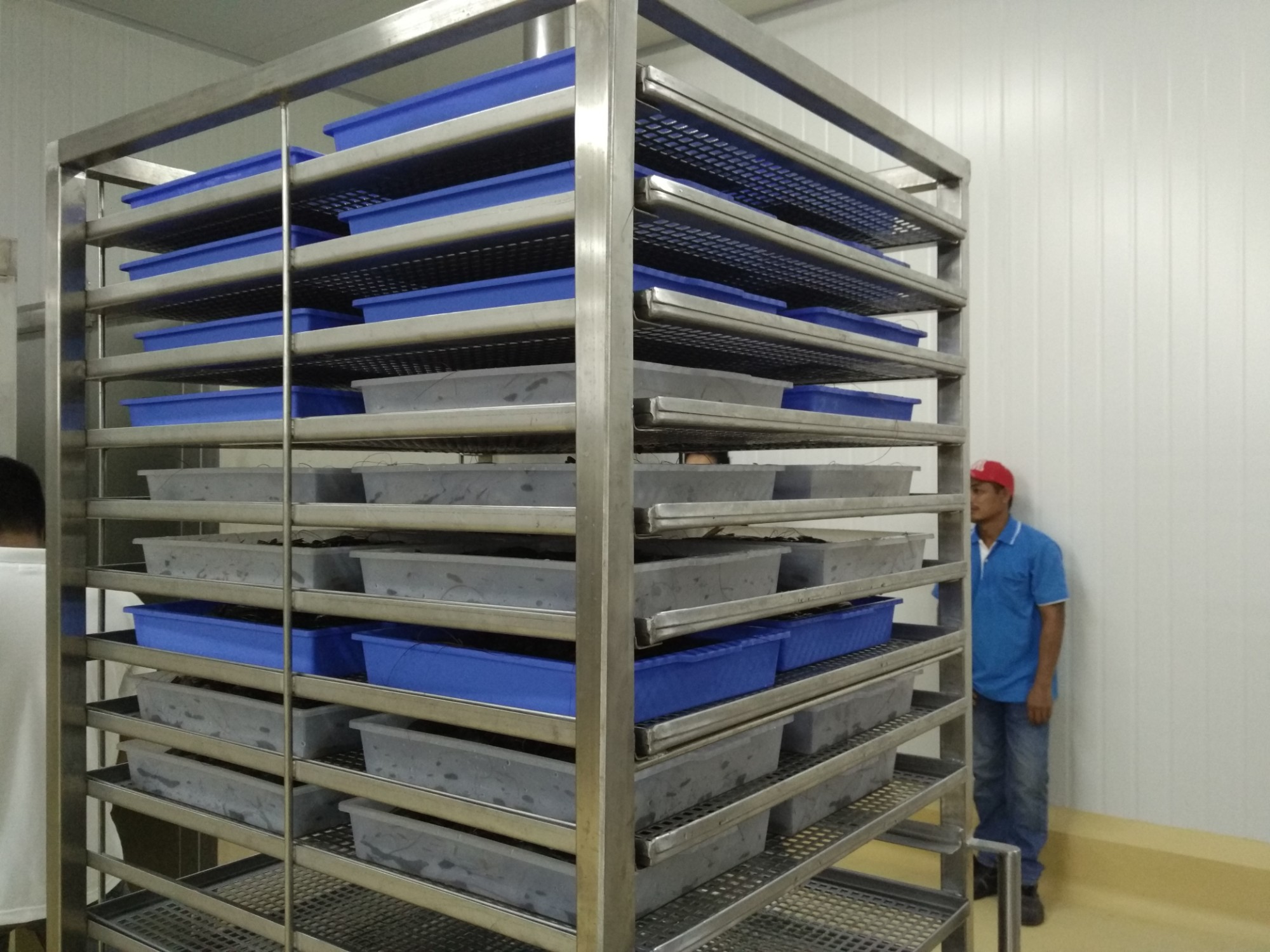 Marine Refrigeration Solution