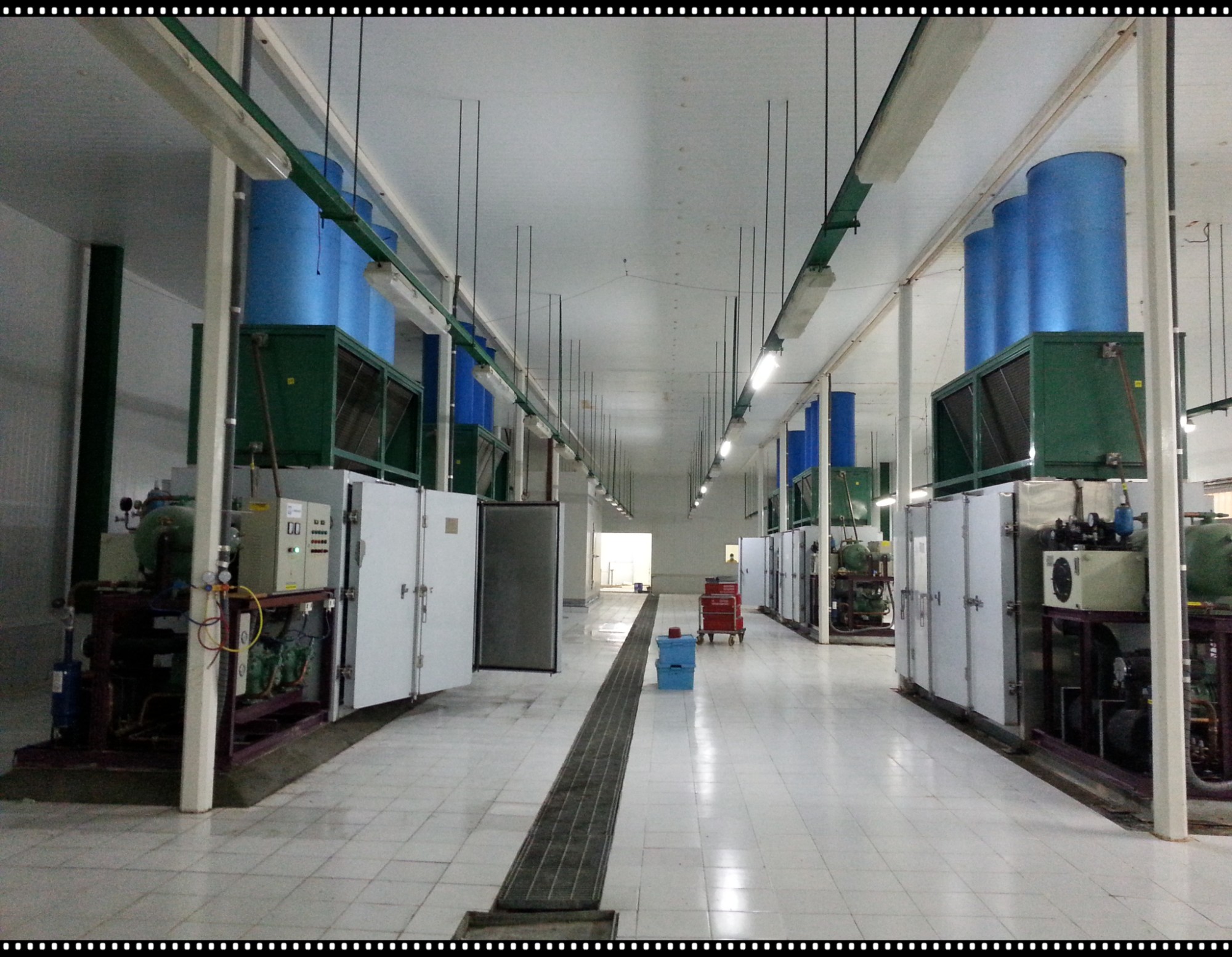 Blast Freezer