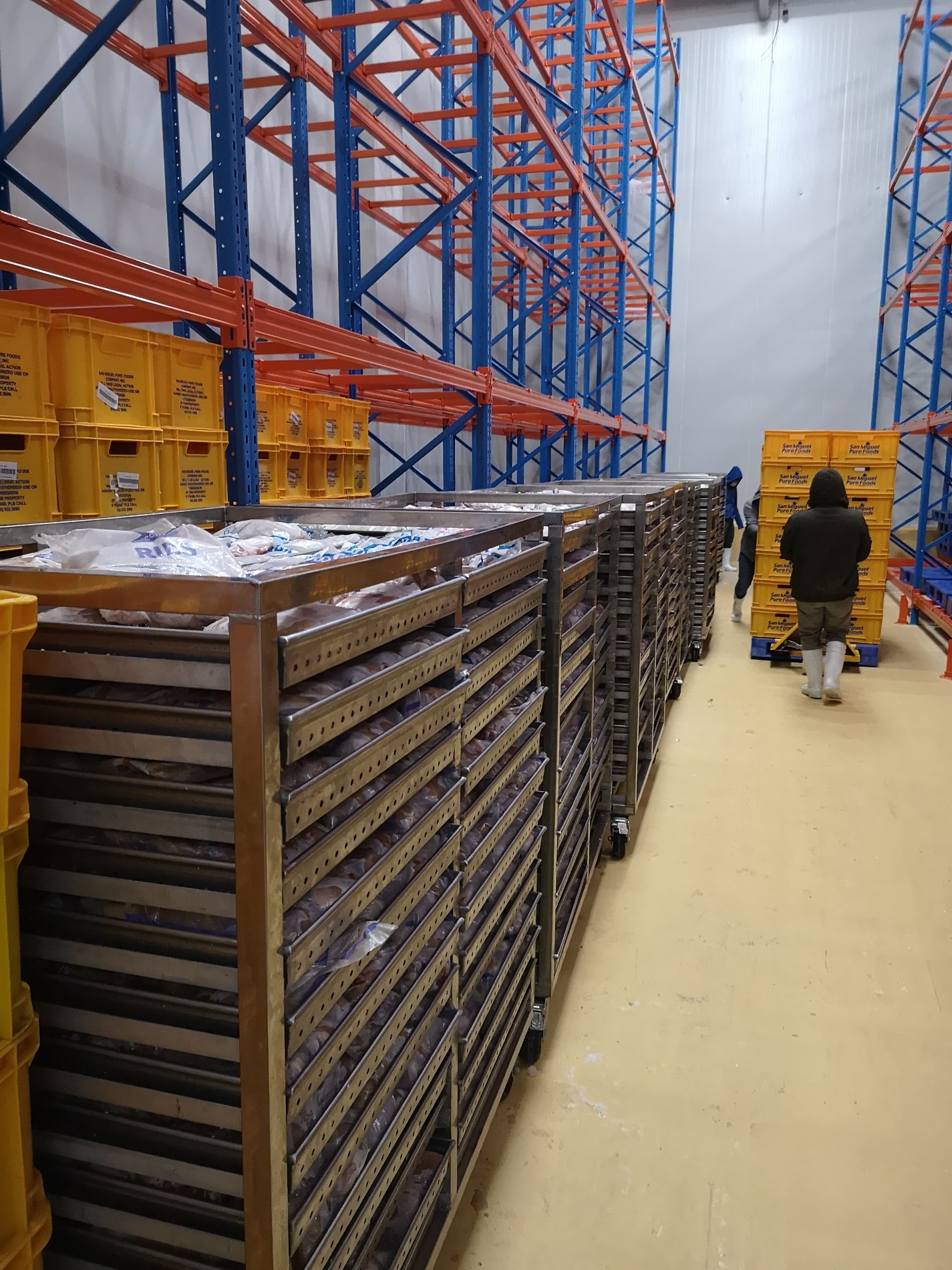 Linie de procesare pentru sacrificarea puilor