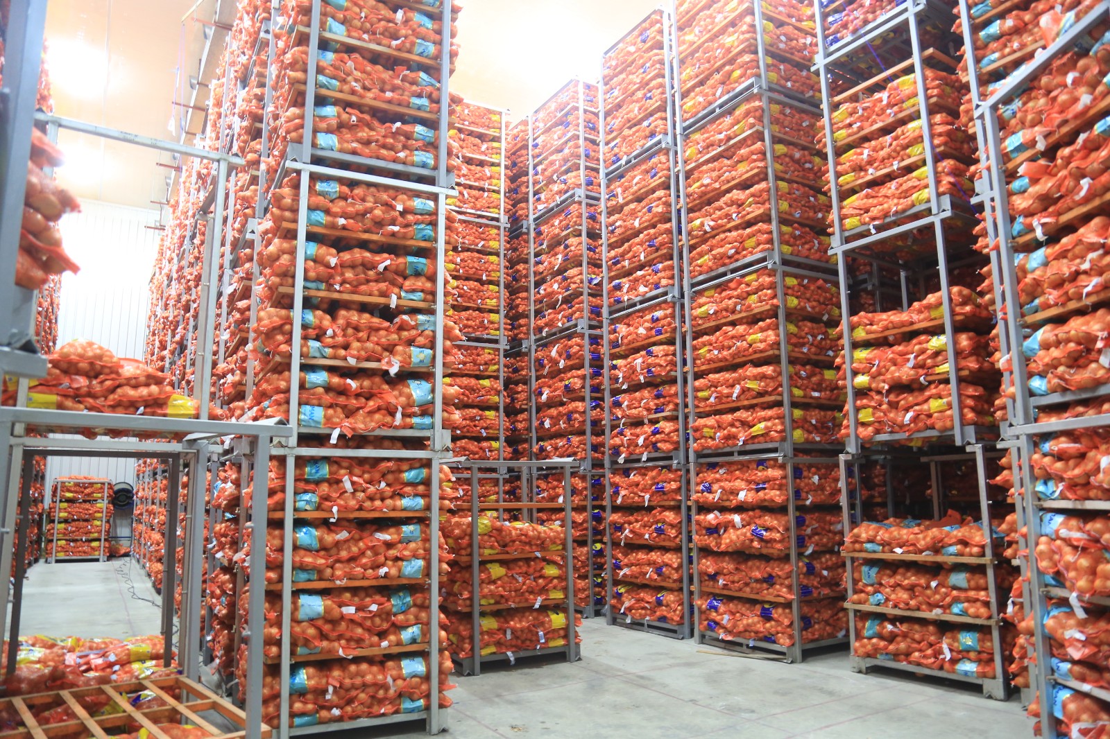 vegetable cold storage room