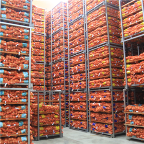 Onion Cold Storage