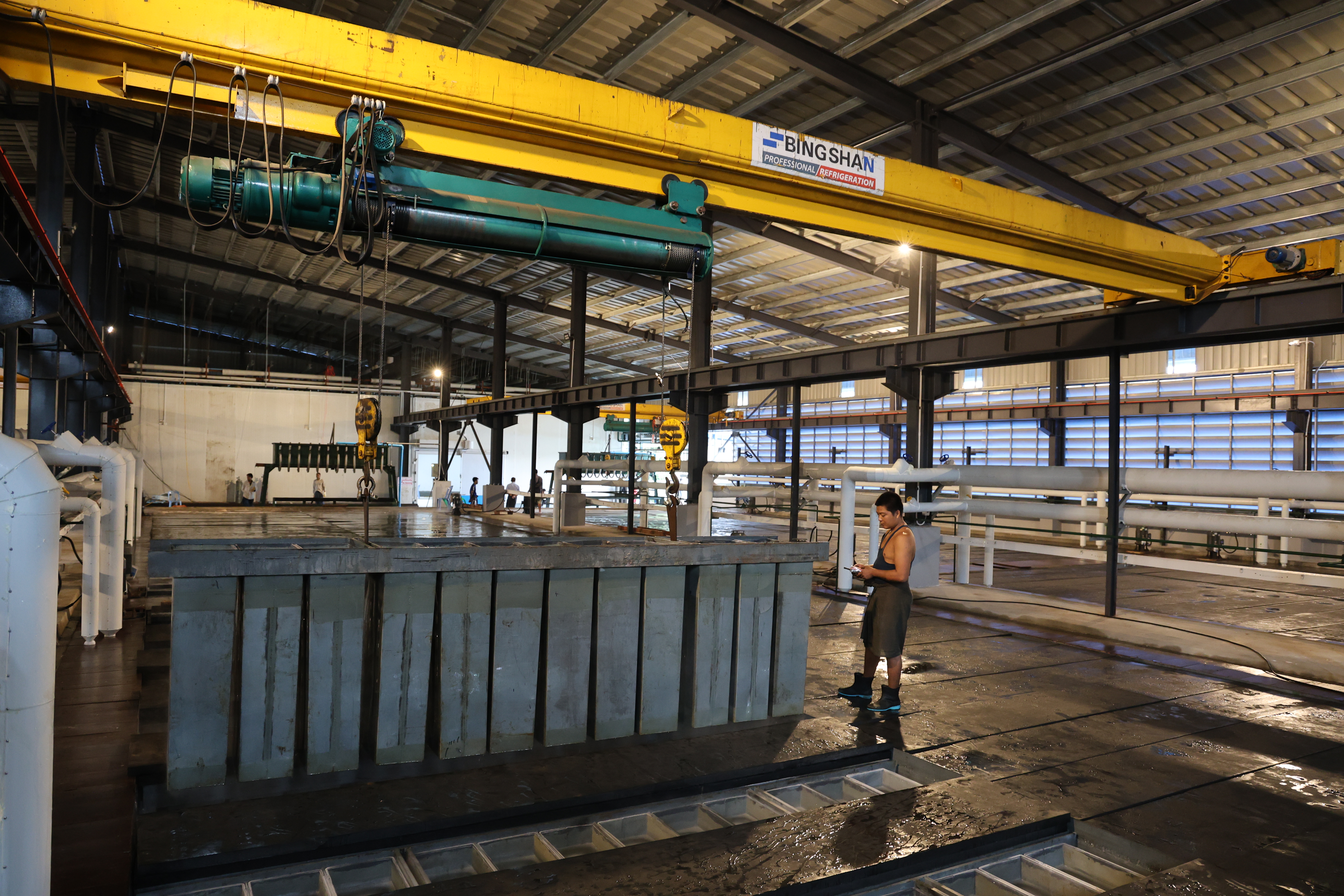 block ice plant