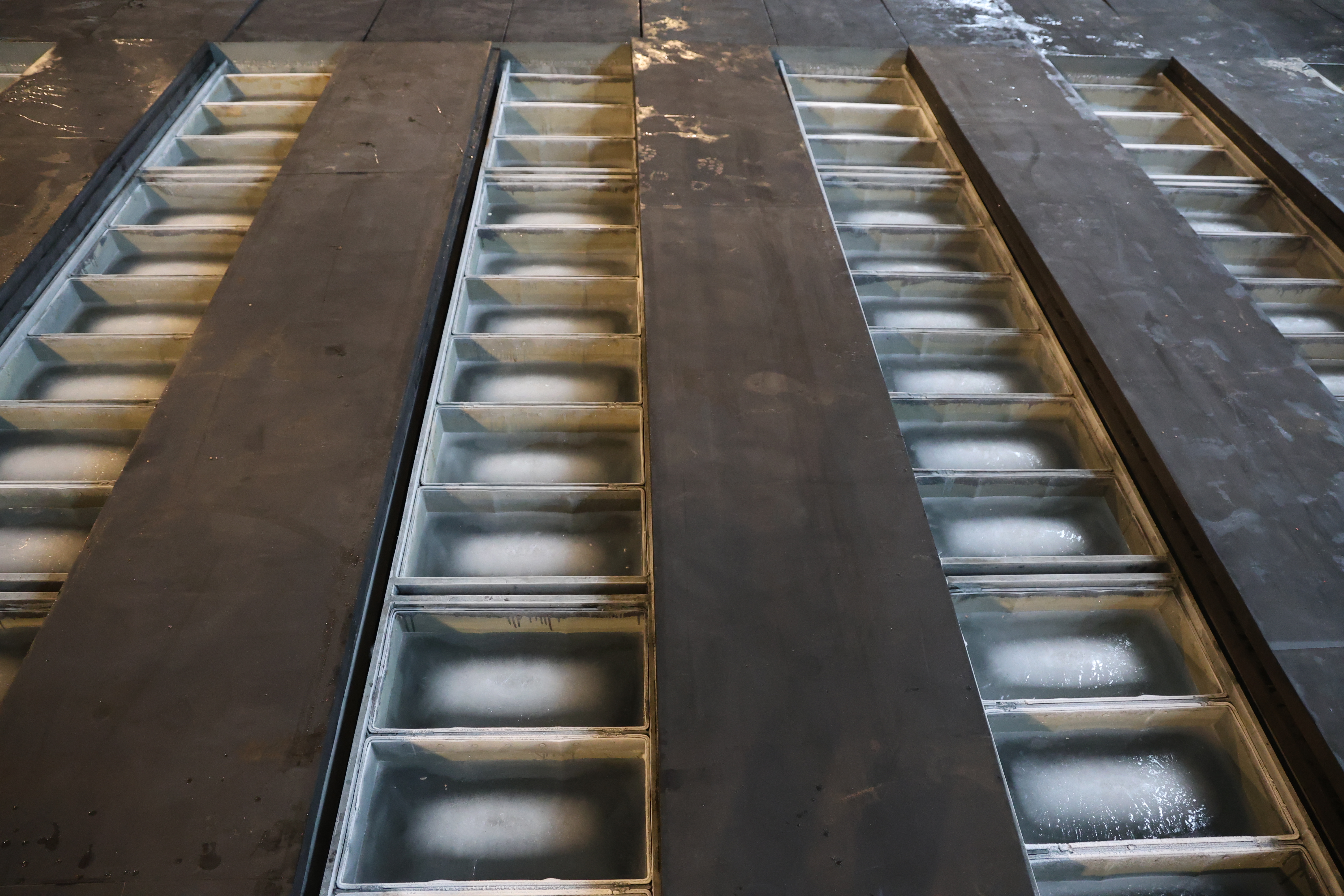 ammonia ice plant