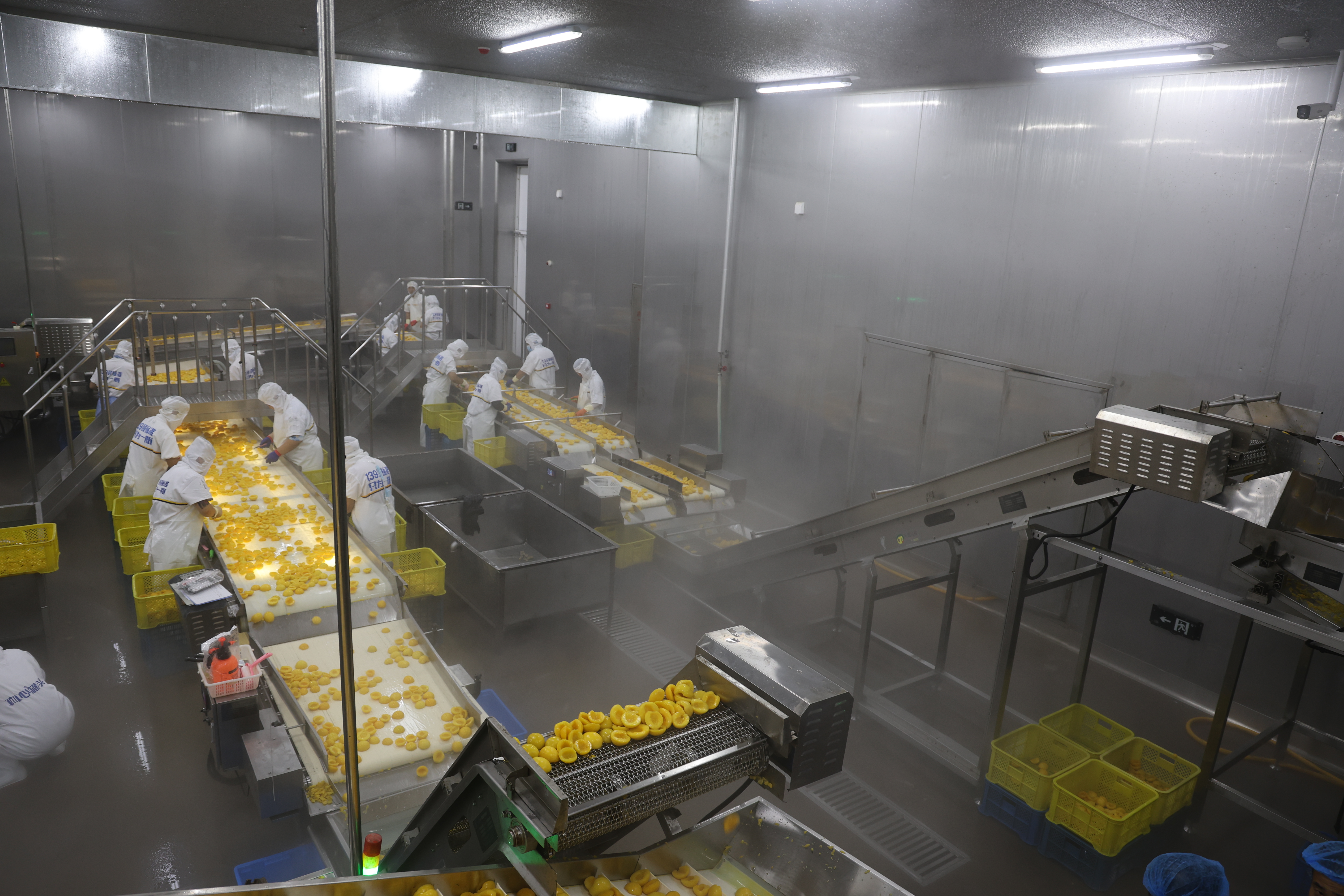 IQF tunnel freezer