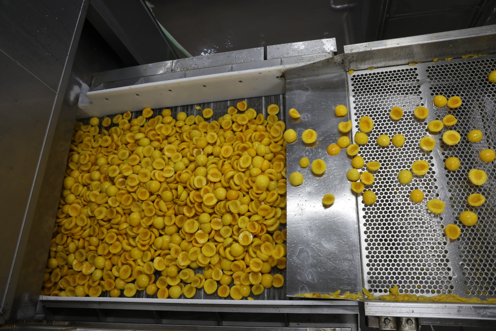 IQF tunnel freezer