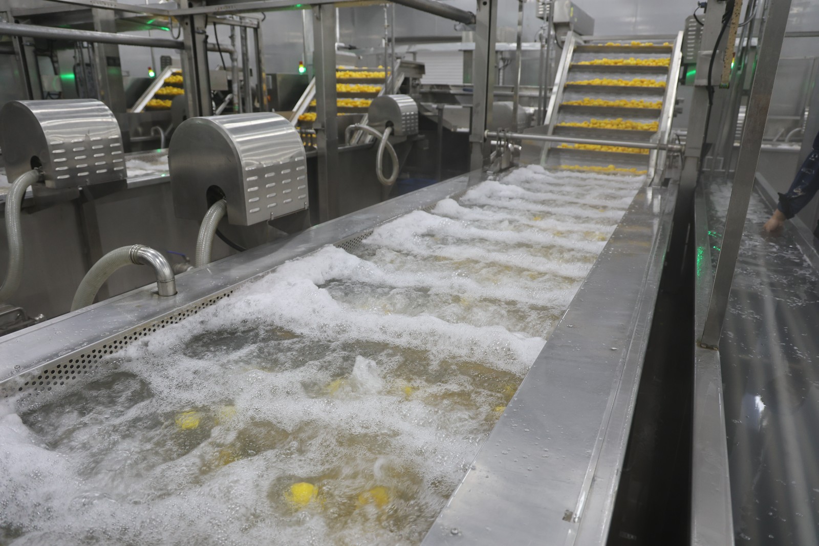 fluidized freezing machine