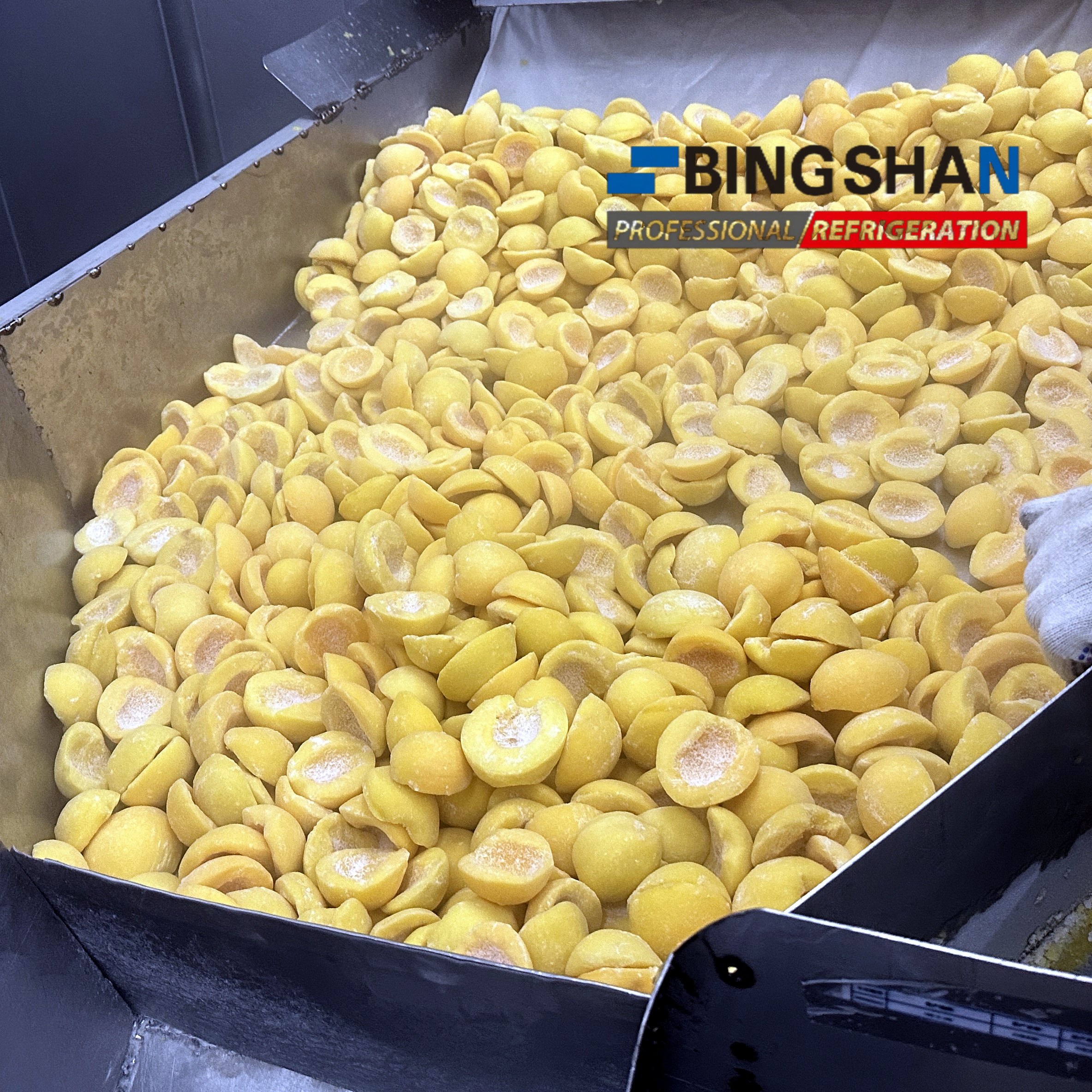 4000Kg/J BINGSHAN Penyelesaian Penyejuk Beku Terowong Bendalir untuk Pemprosesan Makanan