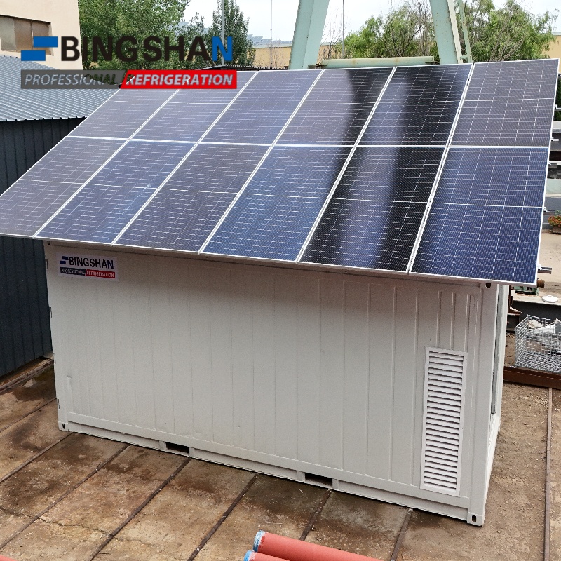 BINGSHAN SOLAR POWERED COLD STORAGE