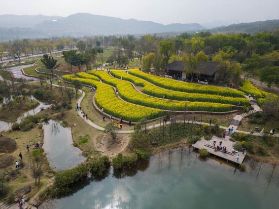 Création d'un système écologique d'approvisionnement en eau et de drainage sur l'île de Guangyang, Chongqing