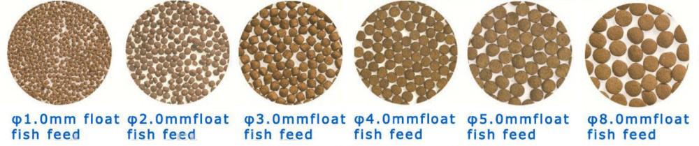fish feed production process