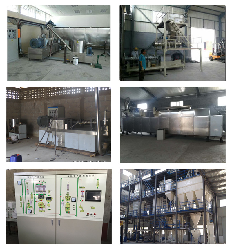 fish food machinery