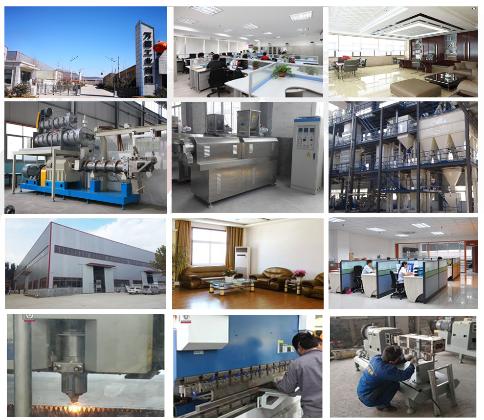 fish feed formulation and production