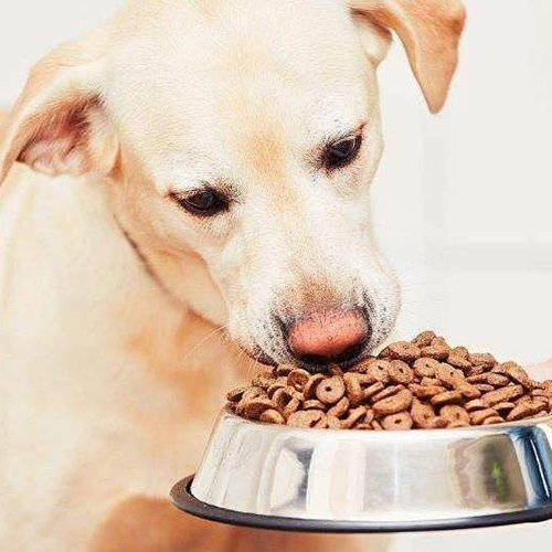 Pet feed puffing: allowing your pet to enjoy a healthier and more delicious diet
