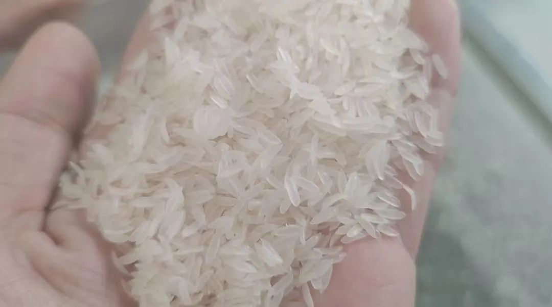 artificial rice making machine