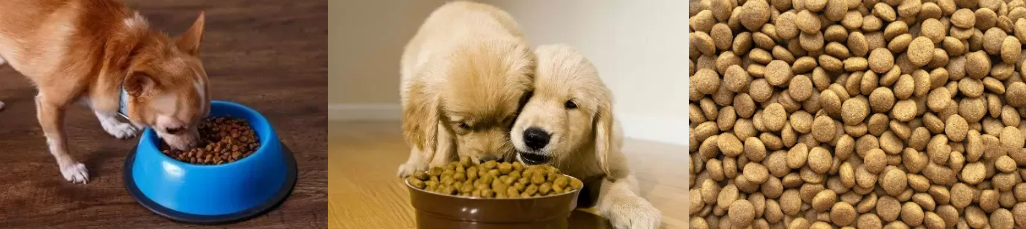 dog food machine