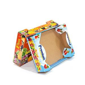 Boîte en carton ondulée de fruits frais empaquetant la boîte de grande taille