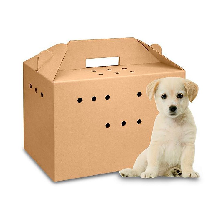Boîte de papier en carton de transporteur d'animal familier de carton ondulé imprimé par coutume en gros