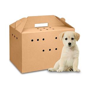 Boîte de papier en carton de transporteur d'animal familier de carton ondulé imprimé par coutume en gros