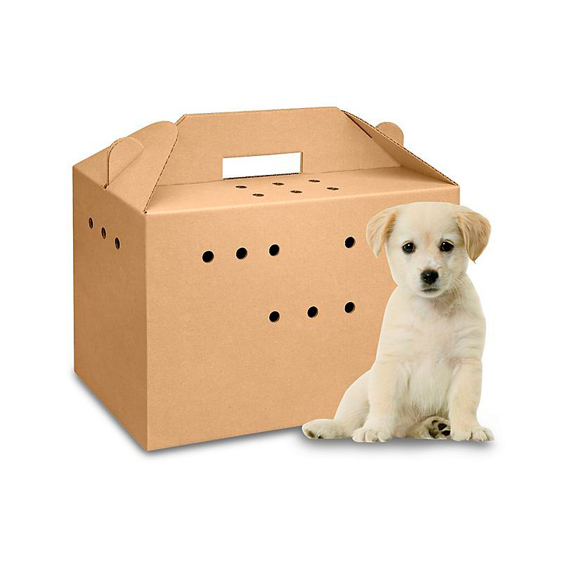 Fancy Custom 5-Layer Corrugated Dog Cat Carrier Pet Carrier Cardboard Box