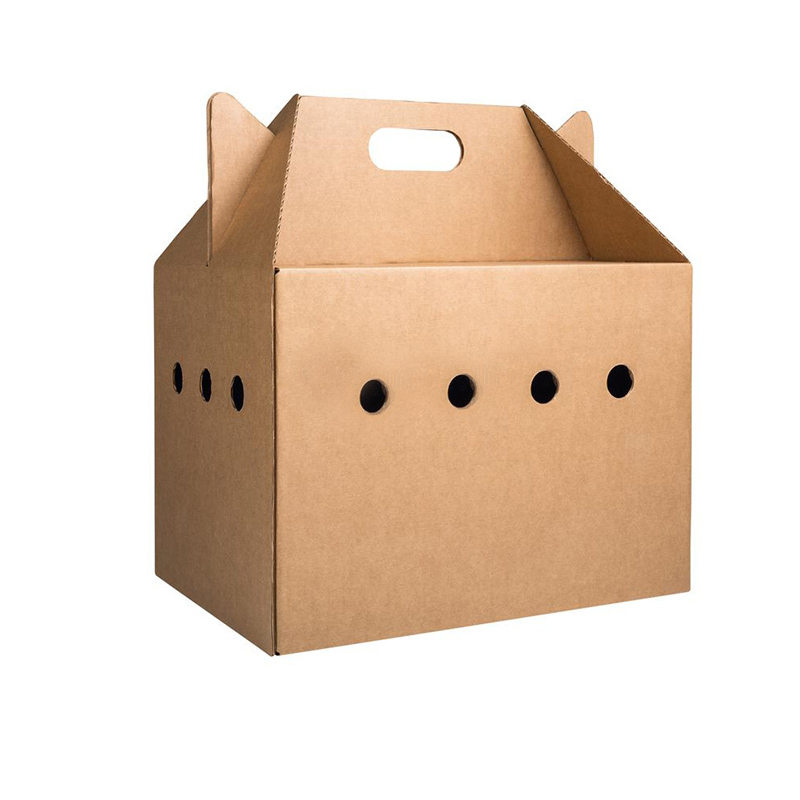 Custom Printed Corrugated Cardboard Pet Carrier Cardboard Paper Box