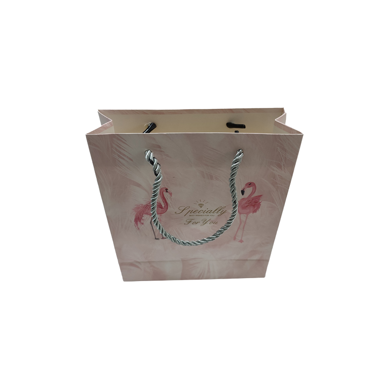 Paper Bag Custom Printed logo Luxury Clothing Shopping Paper Bags Gift Bag With rope handle