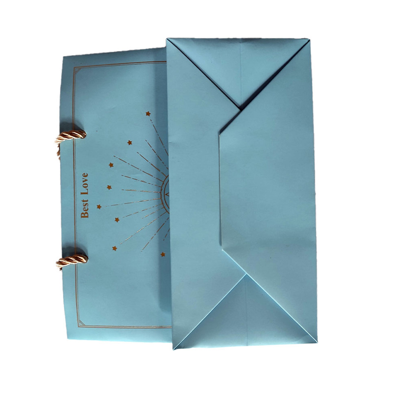 Custom luxury store retail packaging gift carry bags boutique shopping paper bags