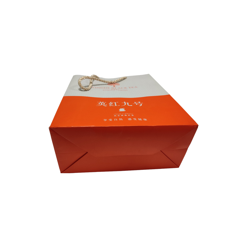 Luxury Ropes Handle Boutique Shopping Packaging Customized Printed Euro Paper Gift Bags