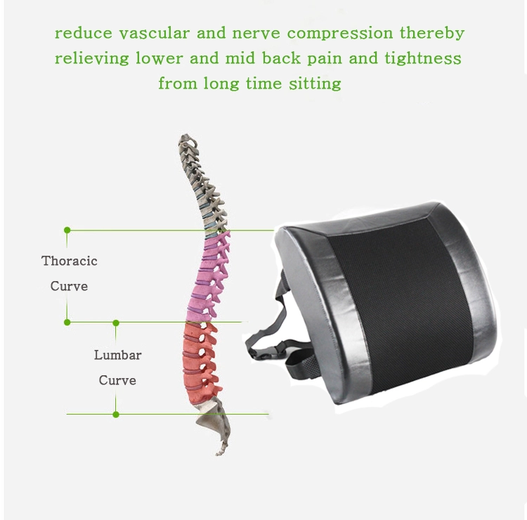 Cojín de soporte lumbar OEM