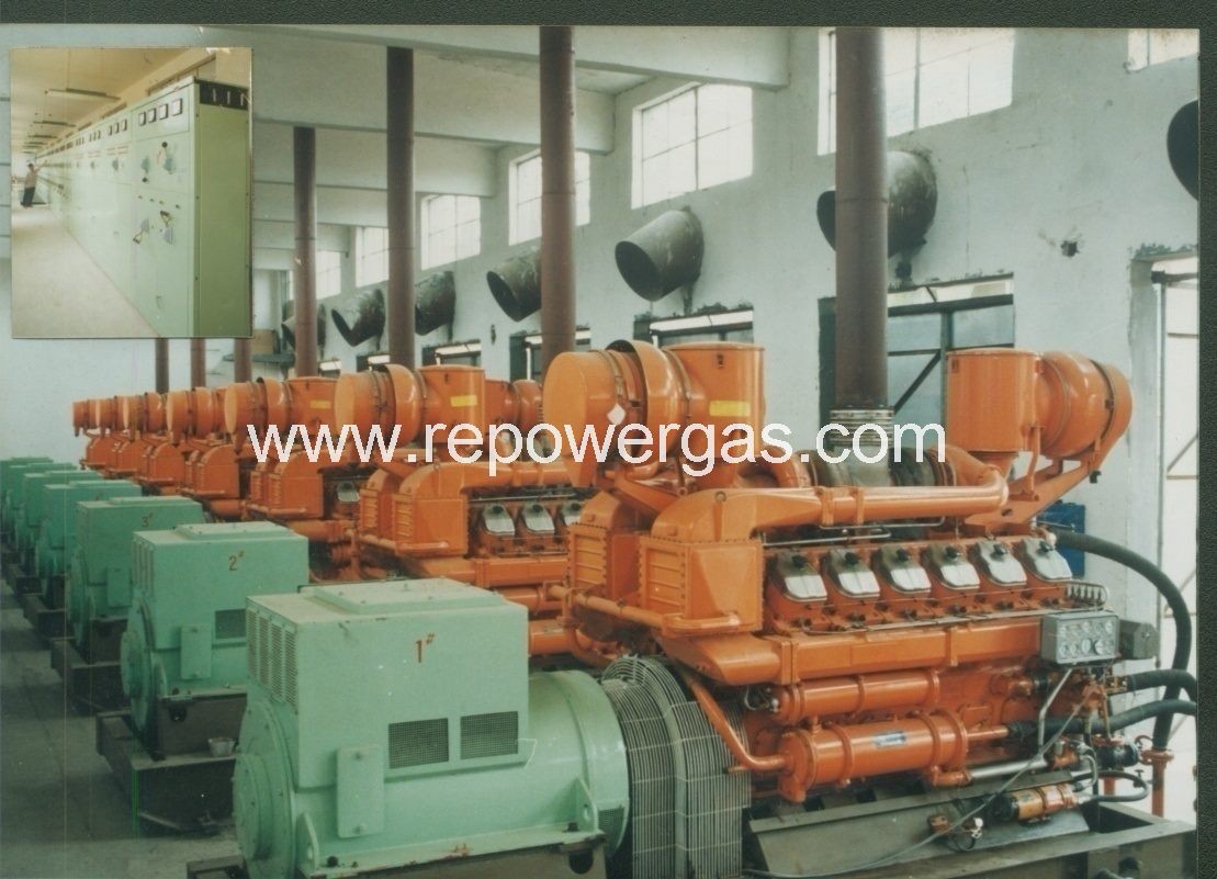 Customized Design Gas Power Plant
