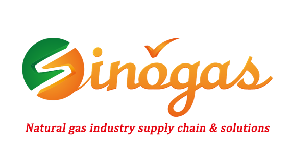 Tianjin Sinogas Repower Energy Co., Ltd