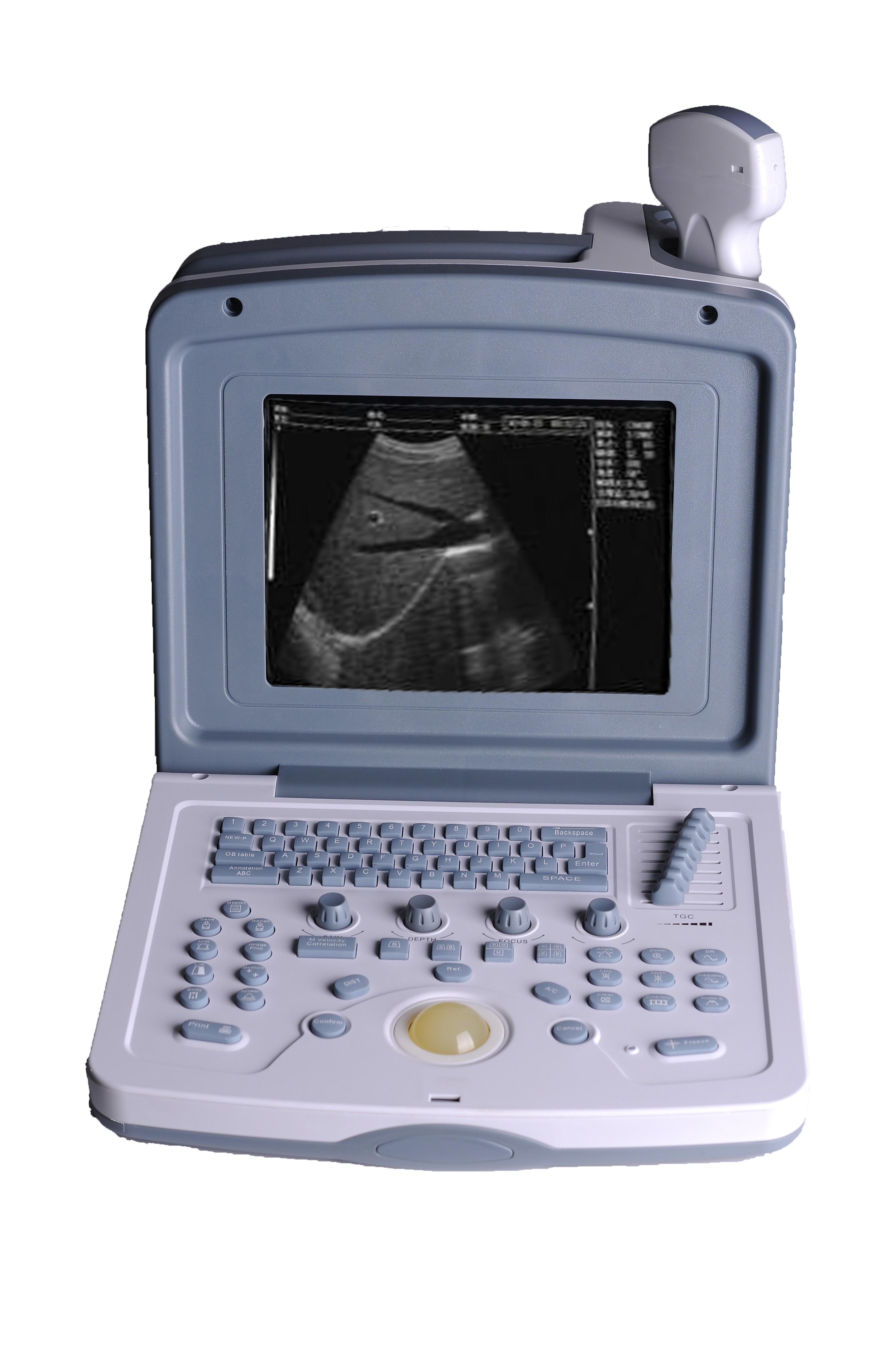 Portable Veterinary Ultrasound for pregnancy