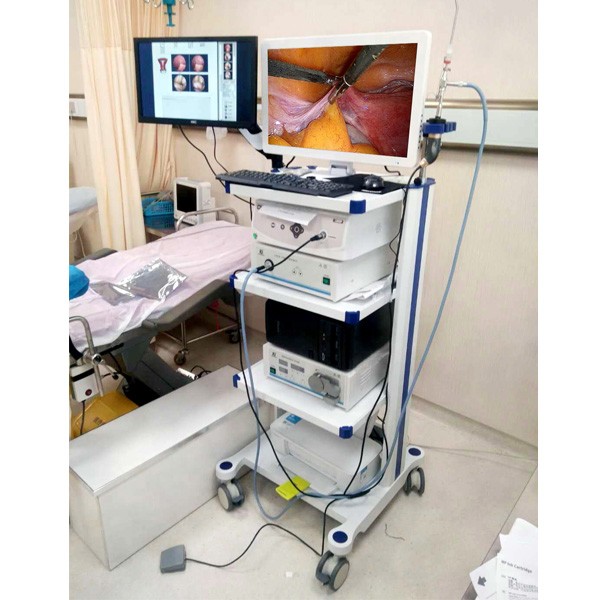 Mobile Endoscope System