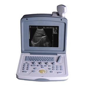 Portable Veterinary Ultrasound for Pregnancy