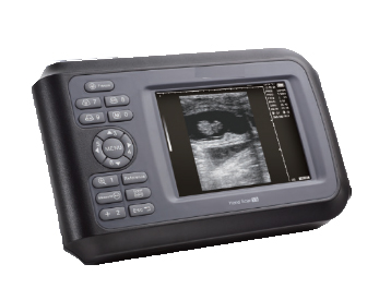 Vtetrinary ultrasound
