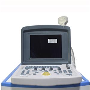portable Black And White Ultrasound Machine