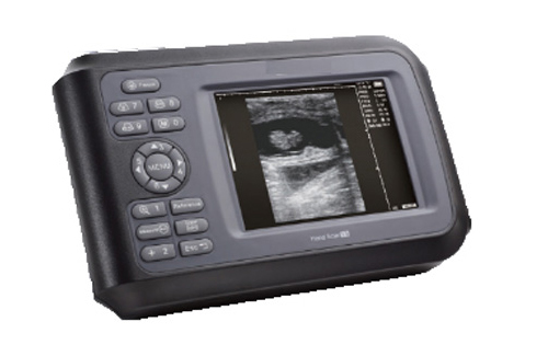 Beterinaryo Ultrasound