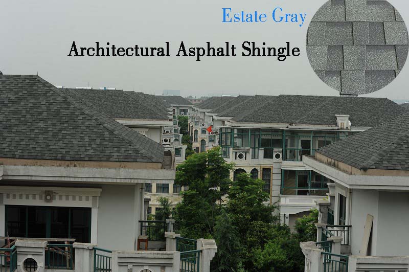 best shingles