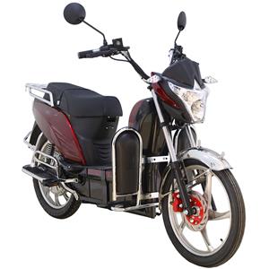 60V BISON Electric Bicycles For Adults