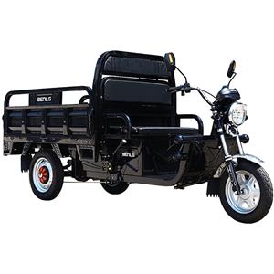 60V HARVEST 3 Wheel Electric Tricycle for Adults