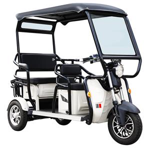 48V Vacation-1 Three Wheel Battery Powered Electric Tricycle