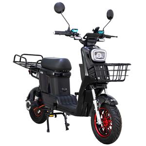 48V / 60V ROBIN-9 2-колесный электрический велосипед для взрослых